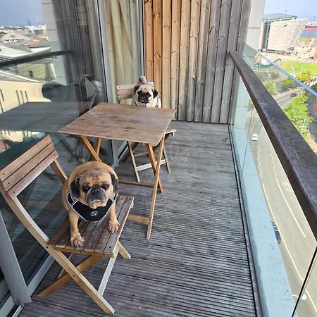 Benji & Milos Apartments 贝尔法斯特 外观 照片
